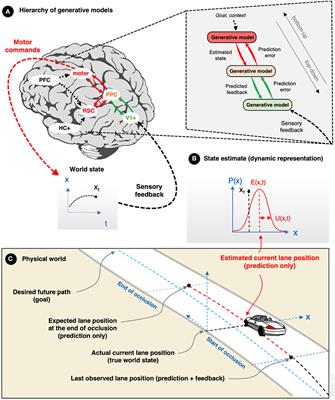 Inattention and Uncertainty in the Predictive Brain